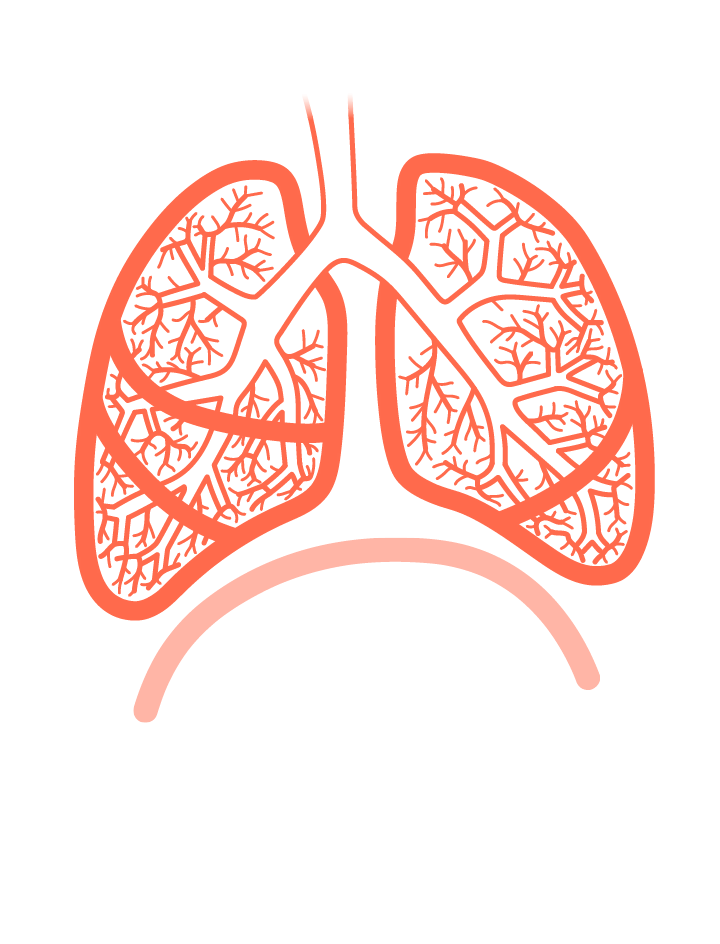 Les Maladies Respiratoires Bronchiques Les Maladies Respiratoires Bronchiques